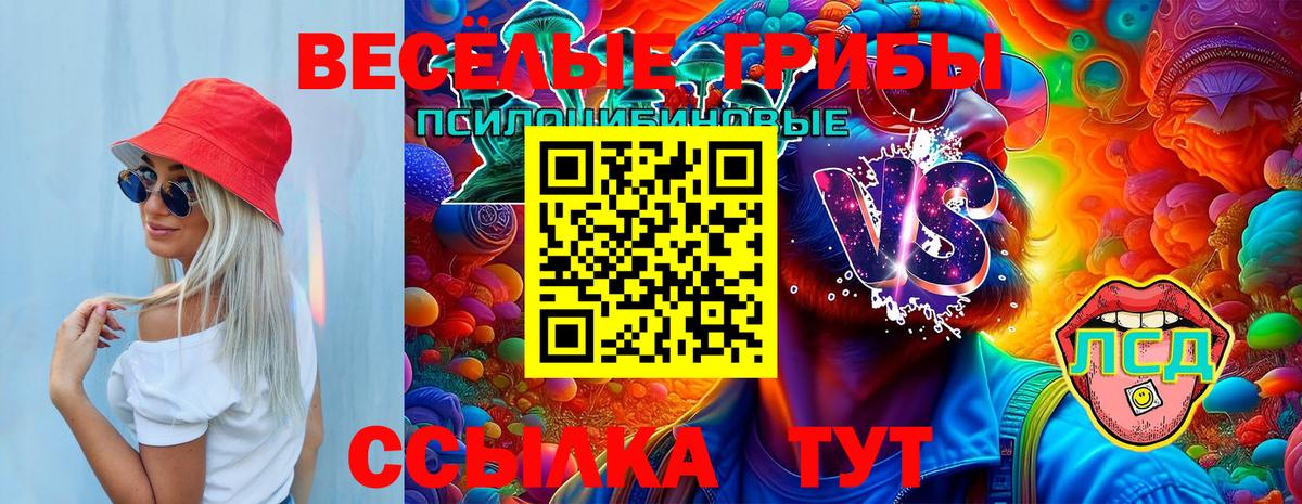 Галлюциногенные грибы GOLDEN TEACHER Тайшет