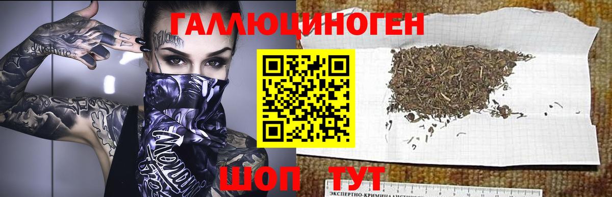 Галлюциногенные грибы Psilocybine cubensis  Вход с VPN  где купить наркоту  Тайшет 